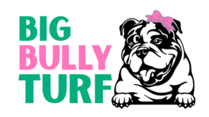 big-bully-turf-logo